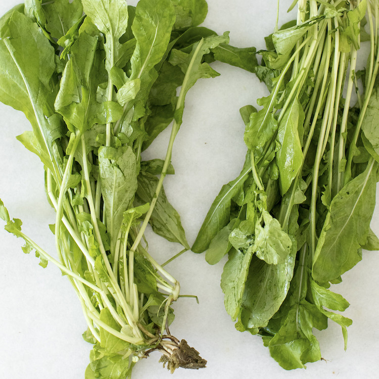 Picture of local arugula
